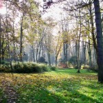 Lindenpark in autumn