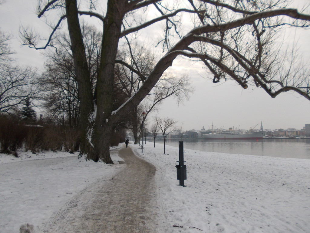 Path in Gehlsdorf