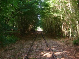 Draisine - tunnel