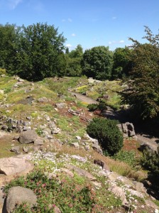 … or get active and climb up the Alpinum (alpine garden) with alpine plants