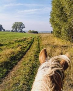 Riding on horseback